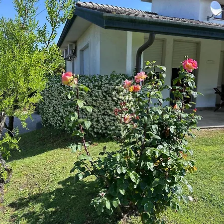Villa Savalin Taglio di Po Buitenkant foto