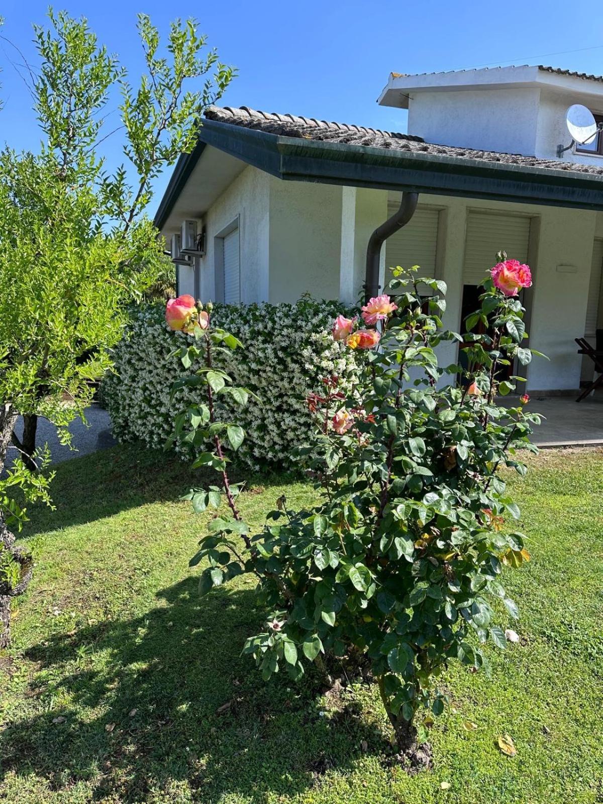 Savalin Villa Taglio di Po