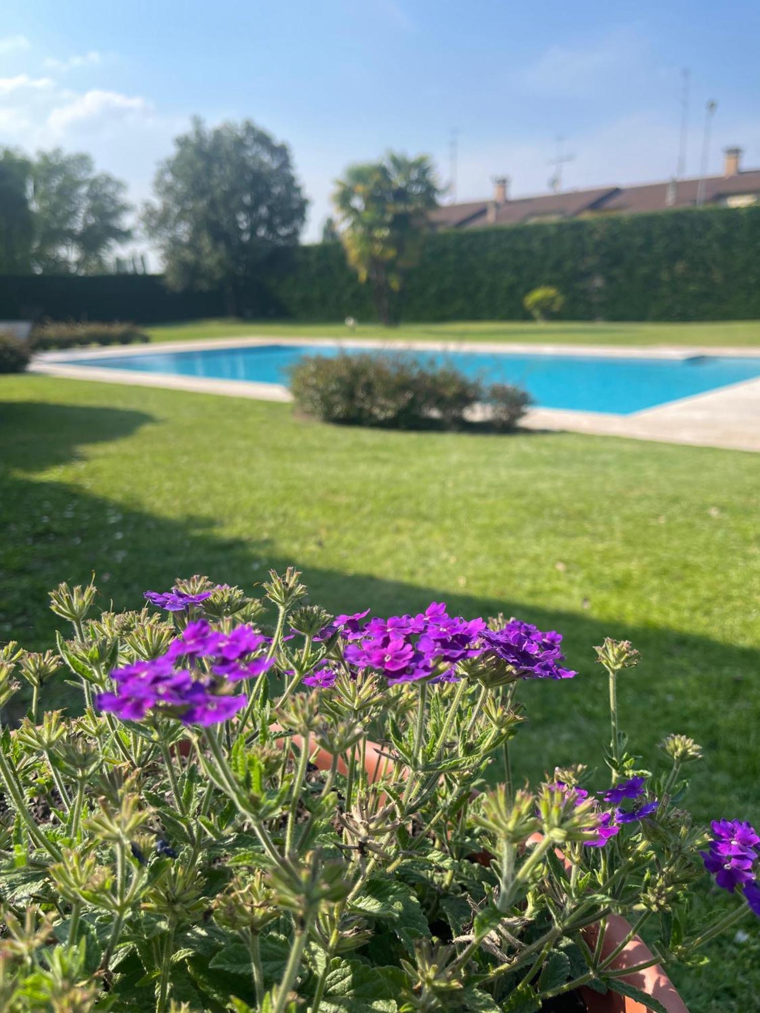 Villa Savalin Taglio Di Po