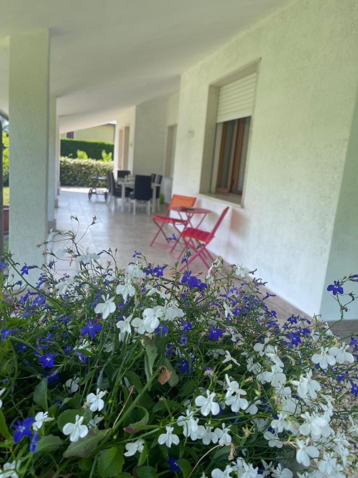 Villa Savalin Taglio Di Po