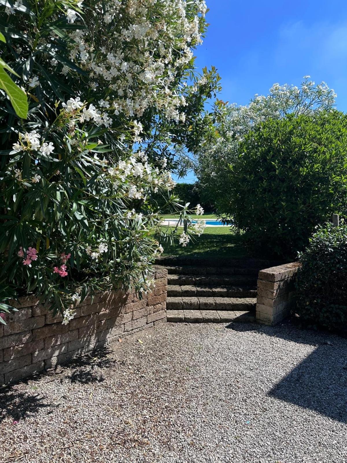 Villa Savalin Taglio Di Po